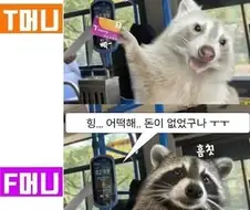 티머니가 불편한 사람들을 위한