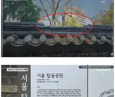 턱걸이 하다가 전과자가 된 돌대가리