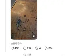 "무당벌레 친구가 방문했어요 ^^"