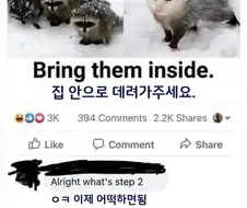 집안으로 대려가 주세요