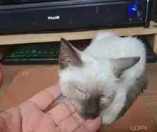 엄청 귀여운 사진 10장 이상 올렸어요. 칭찬해줘요~~