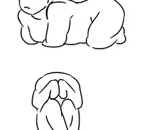 식빵굽는 포즈 따라하는법