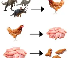 윤회사상 ㄷㄷㄷㄷㄷㄷㄷ