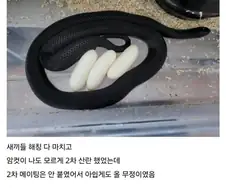 K-던전밥.jpg