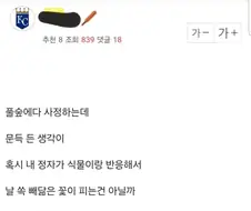 엠팍인의 흔핫 산 속 딸 후기.jpg
