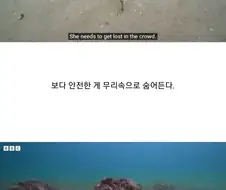 멍청한놈들! 당장 놈을 내놔라!! 놈은 그저 고철덩어리야!!