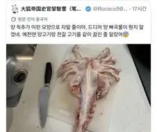 실제로 존재한다는 페이스허거.jpg