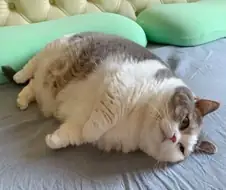 흑흑 난 못생겼어