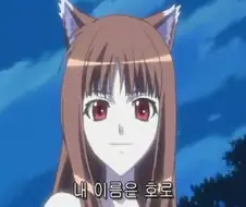 아름다운 늑대미녀를 만난 남자