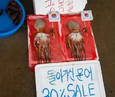 광복절에 잡힌 문어.jpg