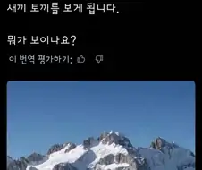 좌뇌 우뇌에 따라 다르게 보인다는 사진인데...