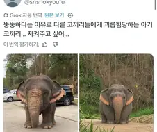 뚠뚠하다고 왕따당하는 코끼리