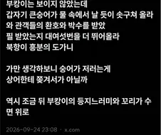 부캉이 대신 숭어