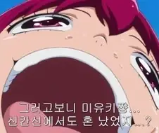 프리큐어)전설의 표정