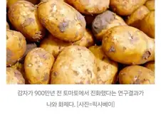 알고 보면 엄청 배덕적이라는 식습관