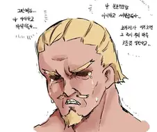 나루토 라이카게에 대한 왜곡된 정보