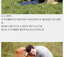 정서적으로 안정감을 준다는 소 끌어안기