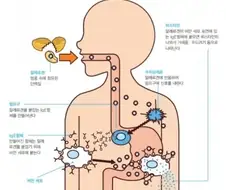 나 사실 양성애자임...