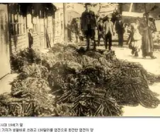 짐바브엘 달러 같던