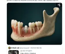 치아가 재생하는 약이 연구중이라고함