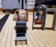 [말딸] 선샌니 주말 동안 해외로 떠나용