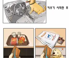 반려동물을 키우기 전과 후.manwha