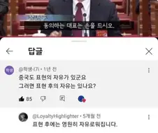 중국도 표현의 자유가 있군요