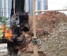 한반도에서 석유가 나지 않는 이유