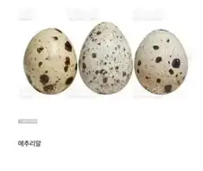 농가에 매출 20% 차지하는거.jpe