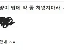 길고양이 밥그릇에 약 타면 안되는 이유
