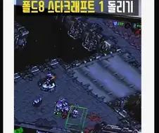 폴드8으로 스타 돌린 후기