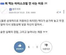 퍼먹는 아이스크림을 안사는 이유