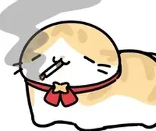 [담배고양이] 콘요약