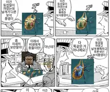 몬헌) 토쿠다의 환경생물 요약 만화.manhwa