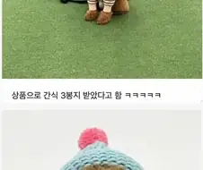 기다려대회 1등한 강아지