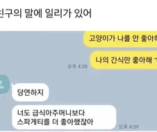 고양이가 먹이만 좋아하고 나를 안좋아해