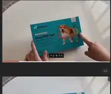 순혈 시골 강아지.jpg