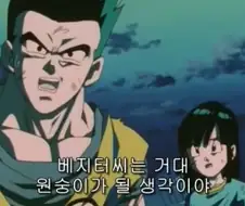 드래곤볼)베지터 정신