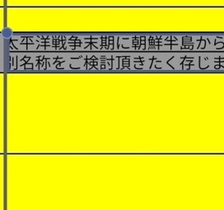 겜프릭)포켓몬 레알세에서 명칭이 수정된 이유
