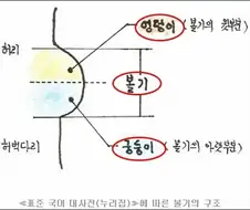 엉덩이와 궁둥이의 차이.jpg