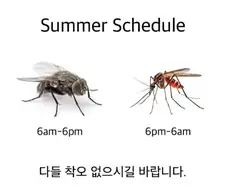 여름 근무시간표 나왔습니다
