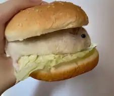 햄＇ster버거