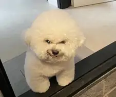 "야야 똥싸냐?ㅋㅋㅋㅋㅋㅋ"