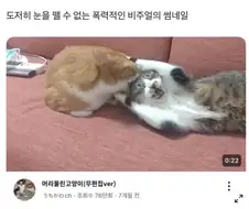 도저히 눈을 뗄수없는 폭력적인 비주얼의 썸네일.jpg