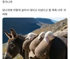 당나귀 보모