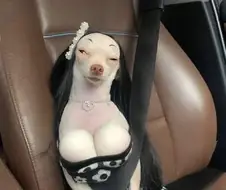 가슴 개크네 ㄷㄷ