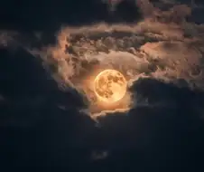 지금 이런걸 볼 때가 아니에요