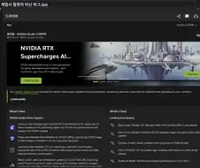 의외로 게임사 잘못이 아닌 버그.jpg