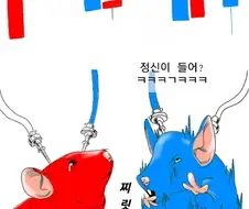 미장 현 상황