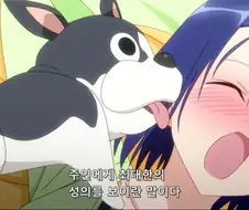 주인을 덮치는 강아지
